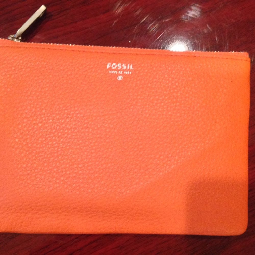 Fossil Pouch Clutch